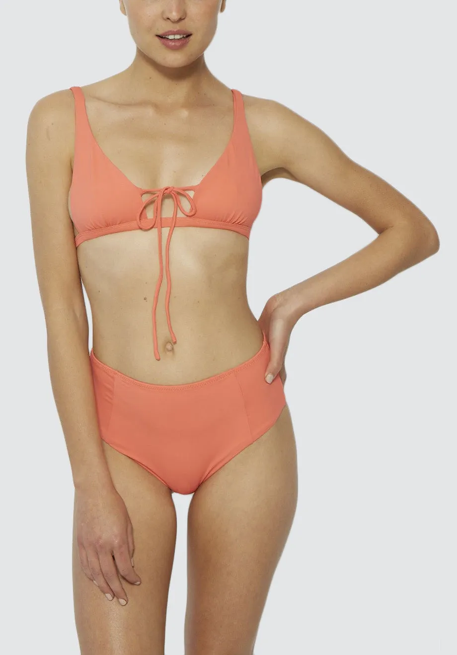 Asylum Brief | Coral