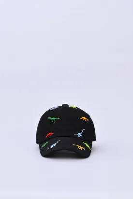 BOYS CAP