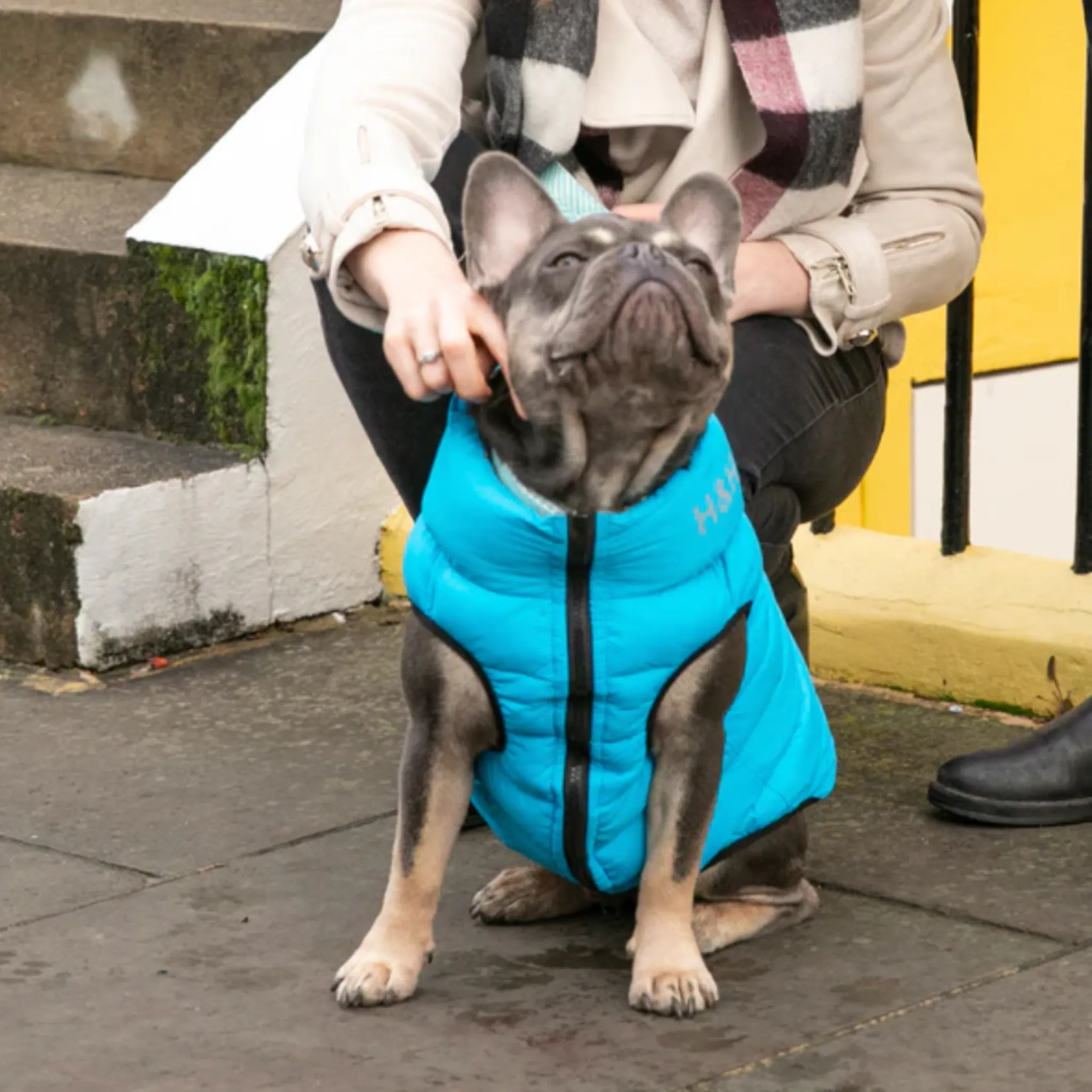 Hugo & Hudson Dog Puffer Jacket Reversible Light Blue & Grey